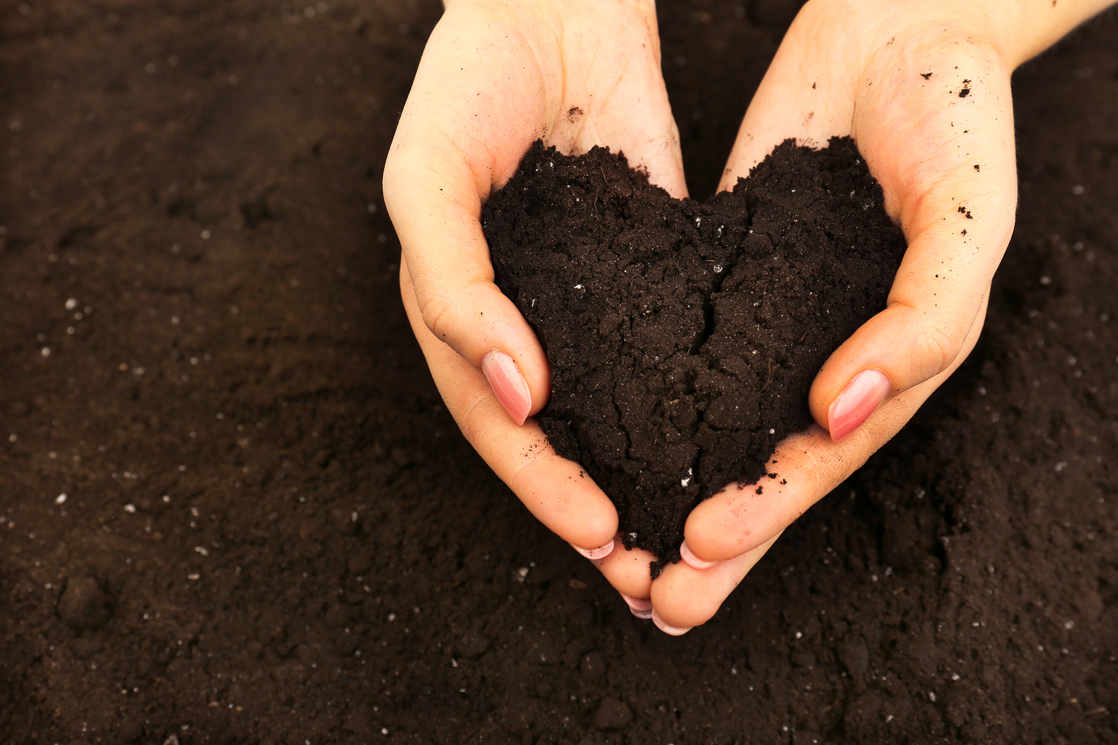 Environmental and Health Benefits of Gardening