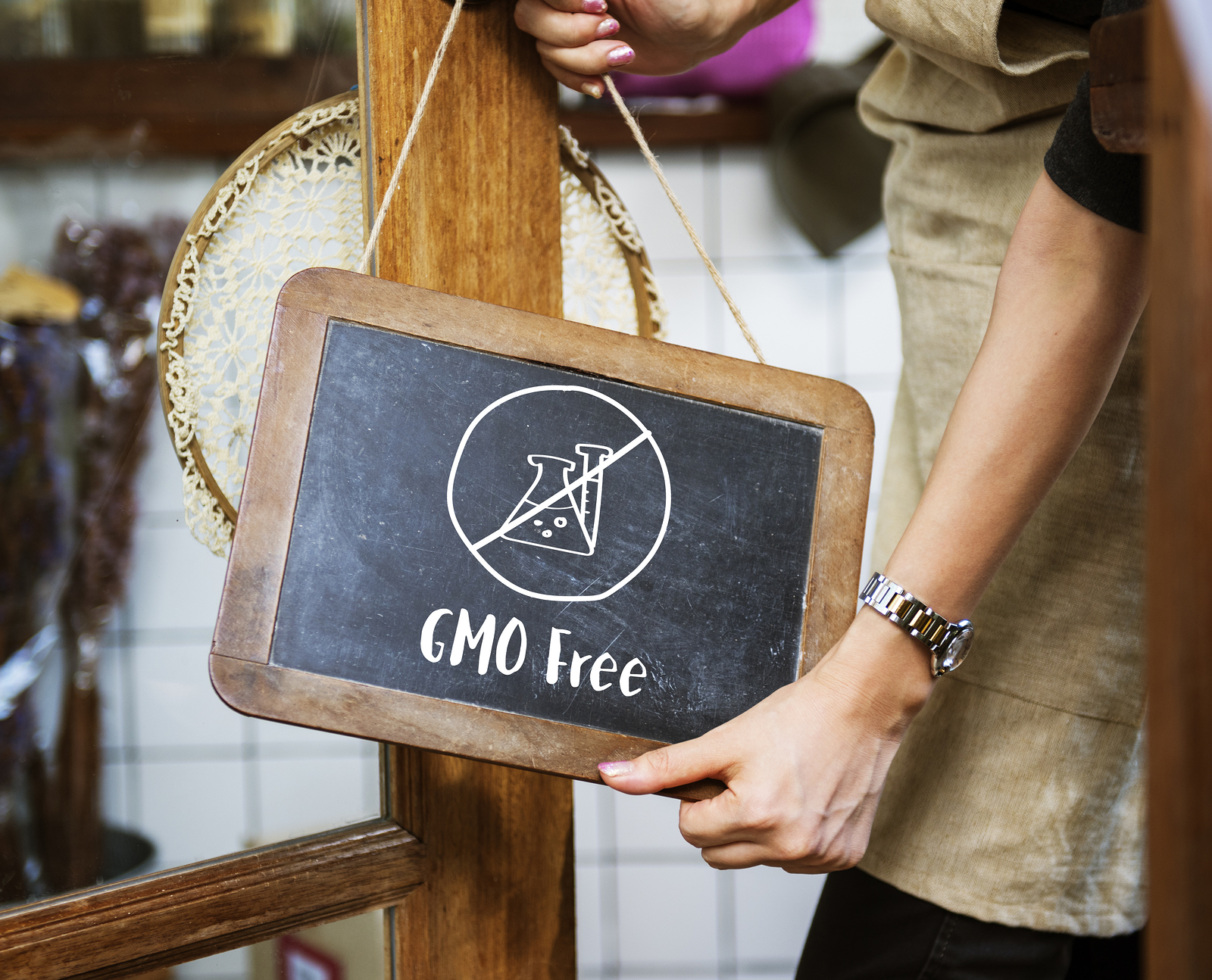 Why should you say NO to GMO?