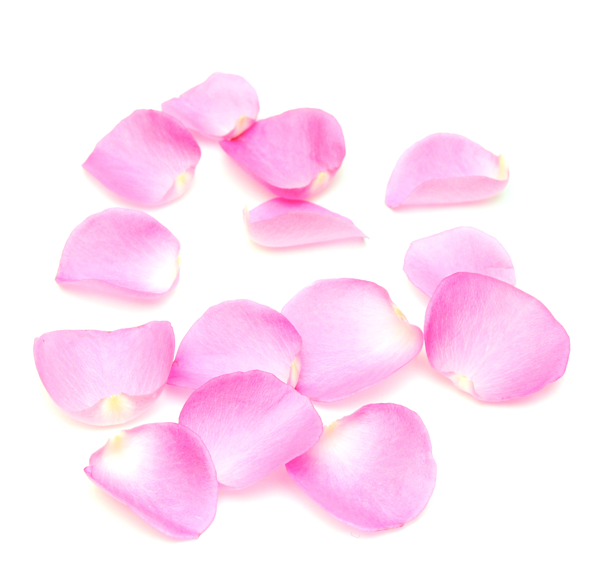 The Use of Rose Water for Skin Care