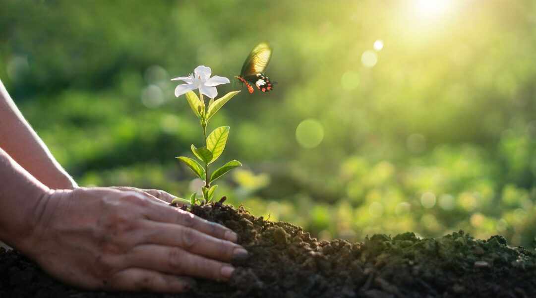 Earth Day