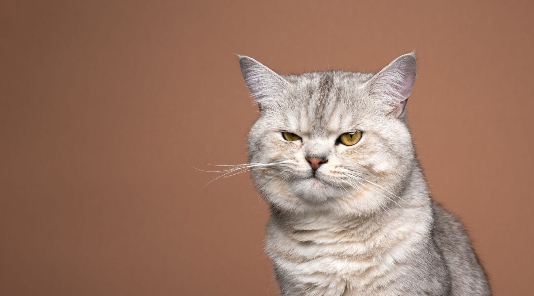 Deep Breathing for Calming Anger