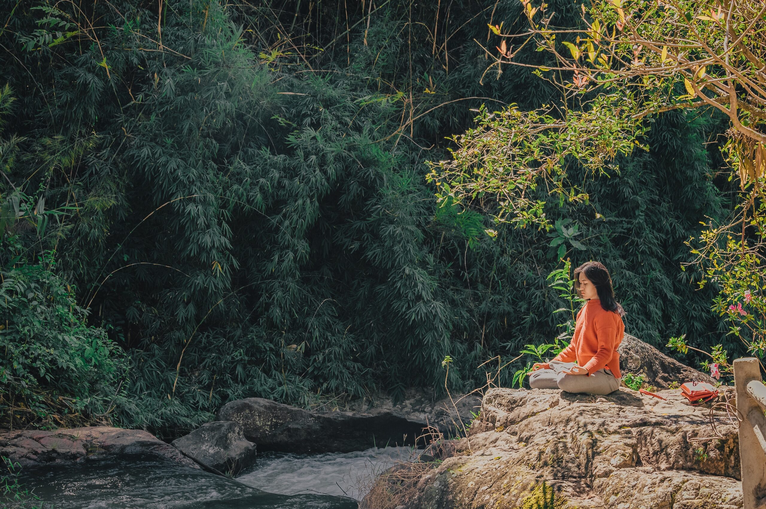 A Mantra from Yoga-Sutra: Heyam Dukham Anagatam