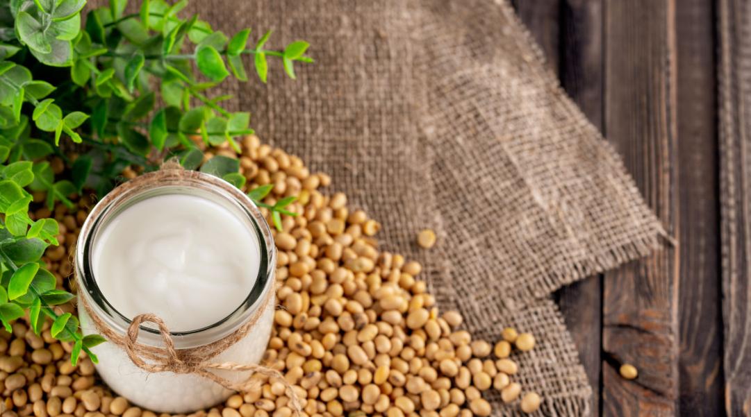 What is Soy Free?