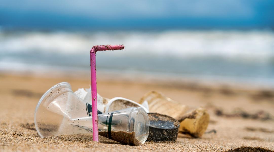 Straws Suck – Harmful Effects of Plastic Straw